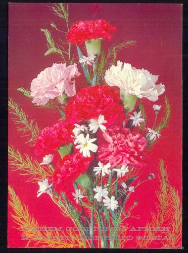 ДМПК СССР 1988 С днём СА и ВМФ