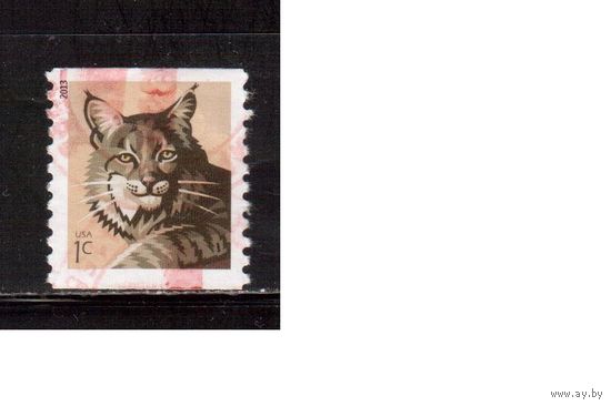 США-2013, (Мих.)  гаш. ,  Фауна, Кошки