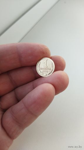 1 копейка 1988 г. СССР