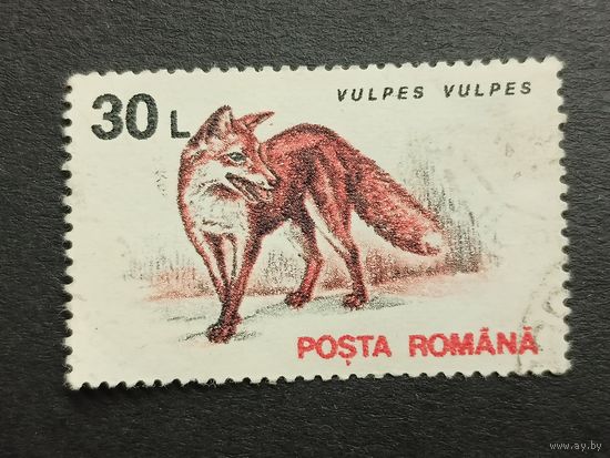 Румыния 1993. Животные. Лисица
