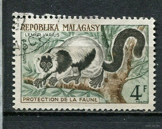 Малагасийская республика - 1961 - Лемуры 4Fr - [Mi.468] - 1 марка. Гашеная.  (Лот 30Fy)-T25P31