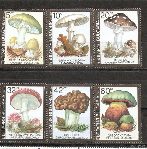 Болгария 1990 Грибы