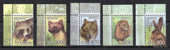Беларусь 2008.Стандарт. Фауна.Звери. Офсетная бумага. 5 марок угол 724-28 (423)