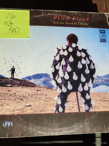 Deep perple - Delicate Sound of Thunder (2lp) виниловая пластинка