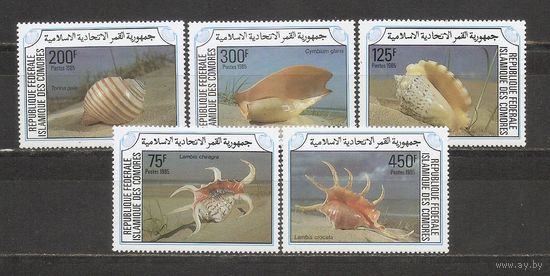 ФФ1 Коморы 1985 Ракушки