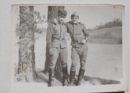 Фото в коллекцию