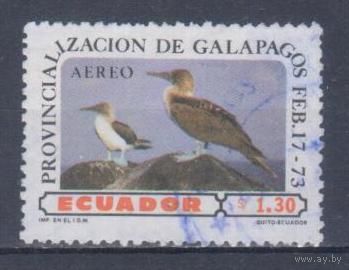 [1446] Эквадор 1973. Фауна.Птицы. Гашеная марка.