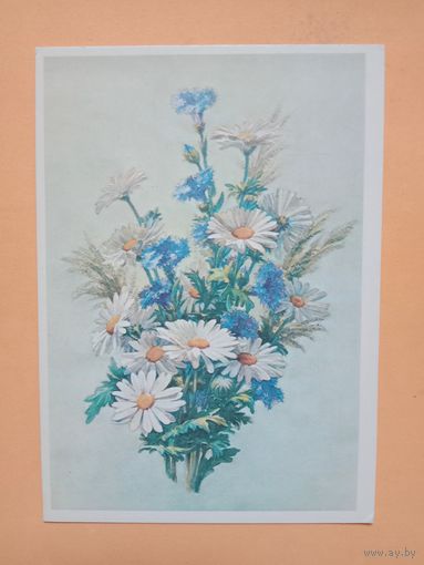Открытка Попов,1982,чистая