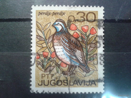 Югославия, 1967. Куропатка