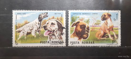 Румыния. 1990 год. Фауна. Собаки (806)