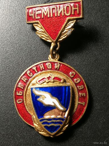 Знак Буревестник.Областной совет.Чемпион.
