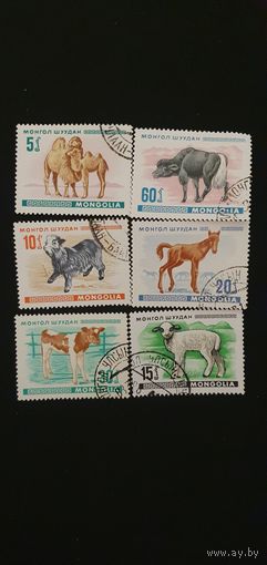 Монголия детеныши животных 6шт