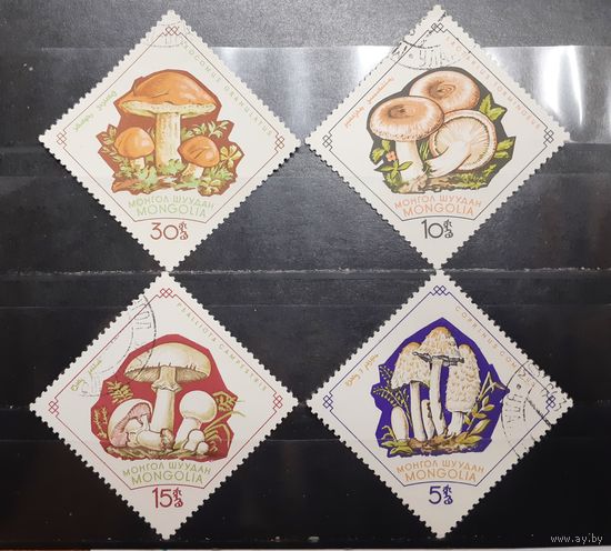 Монголия. Флора. Грибы (953)