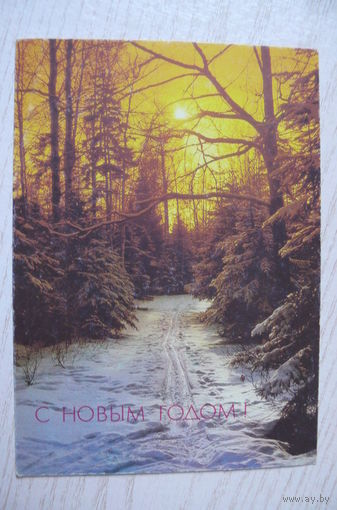 Костенко П., С Новым годом! 1990, 1991, чистая.