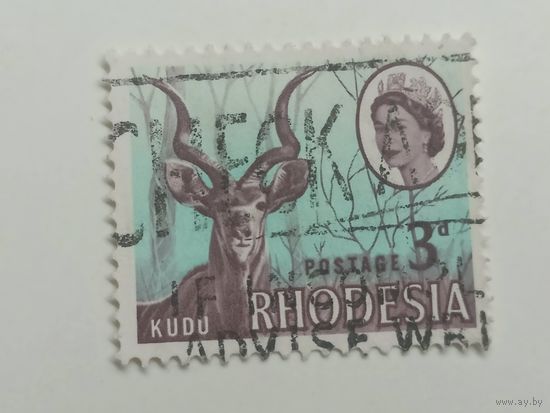 Родезия 1966. Местные мотивы