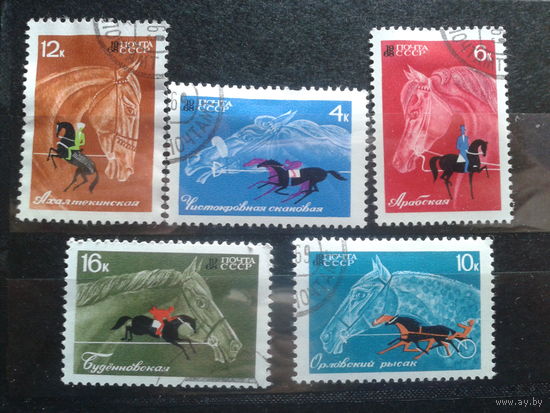 1968. Конный спорт, полная серия