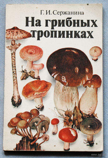 На грибных тропинках