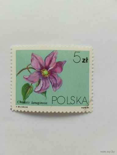 Марки  Цветы  Польша 1984   1 шт. -  0,40 руб.