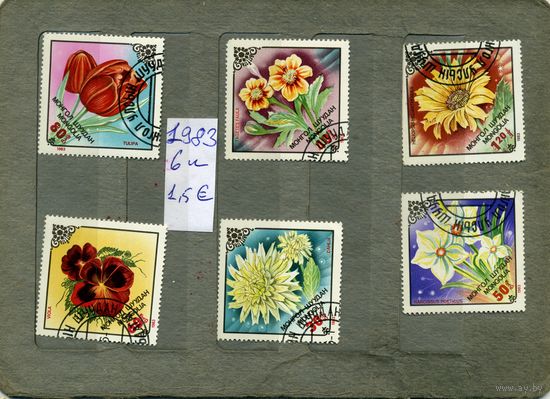 МОНГОЛИЯ, 1983,  ЦВЕТЫ,5м  ( справочно приведены   номера и цены по Michel)