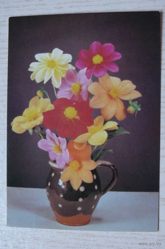 Киндрова Д., Осенний букет; 1988, чистая.