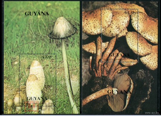 1990 г. ГАЙАНА. Грибы   MNH