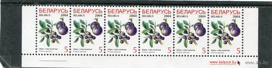 Беларусь 2004. Стандарт. Ягоды. Терн, слива колючая. Нижняя сцепка листа