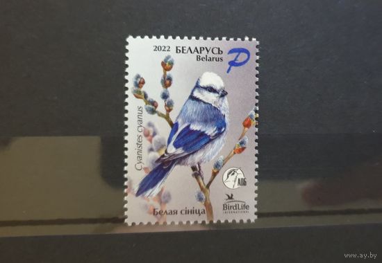Птица года Князек Белая синица Птушка года Белая Сiнiца ** Беларусь 2022