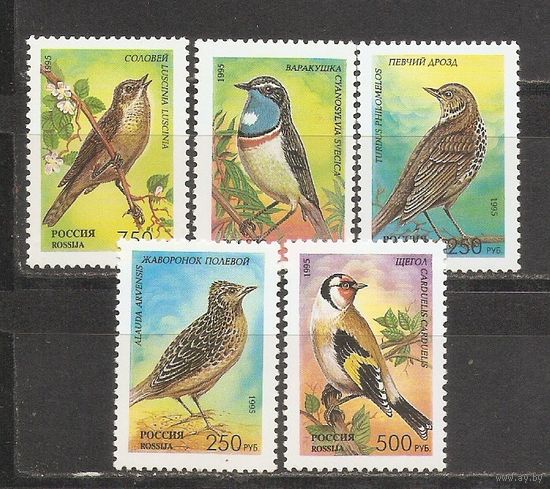 ФФ1 Россия 1995 Птицы