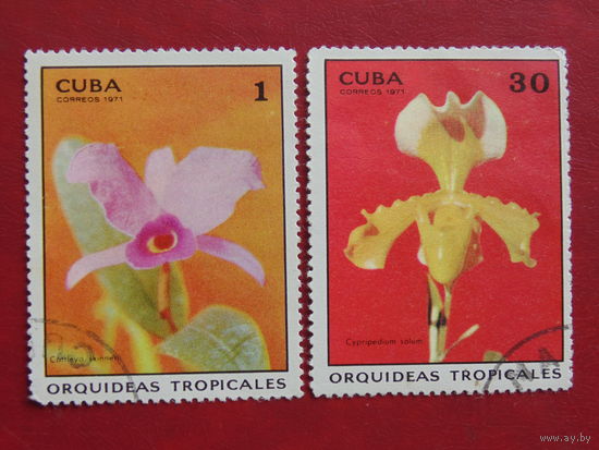 Куба 1971 г. Цветы.