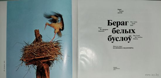 БЕРАГ БЕЛЫХ БУСЛОУ.  1977 г.  Фотоальбом с чудесной беларусской природой....