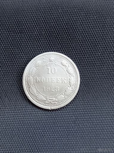 10 копеек 1923 год   (21)