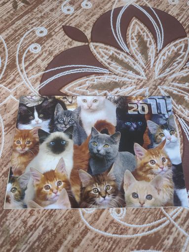 Календарь,коты,2011