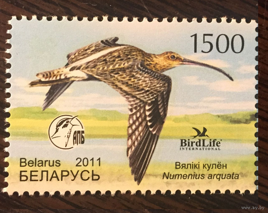 2011 Птица года. Большой кроншнеп. Беларусь Фауна **