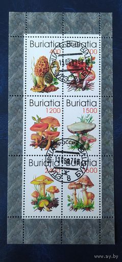 BURIATIA 1997 Грибы