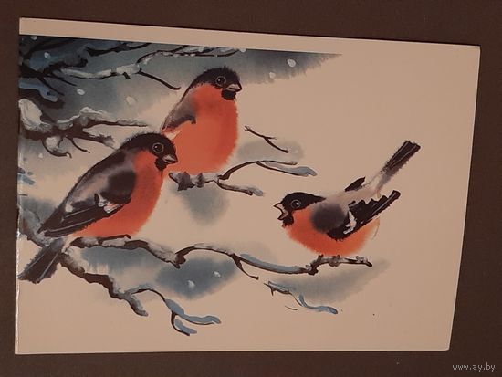 Чистая. Двойная. С Новым Годом! Снегири Каневский 1987 г.