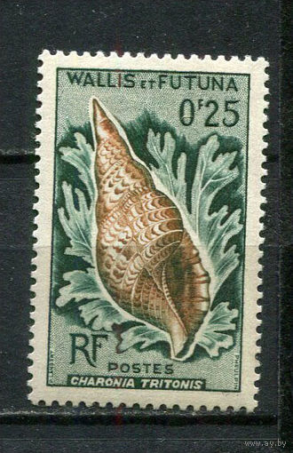 Французская заморская территория - Уоллис и Футуна - 1962/1963 - Ракушки 25С - [Mi.193] - 1 марка. MNH.  (Лот 31JM)-TG2P11