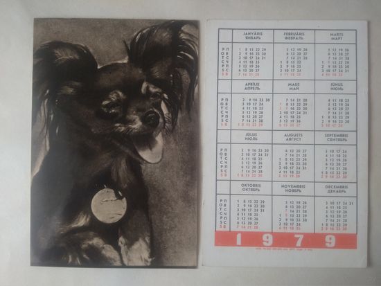 Карманный календарик. Собака.1979 год