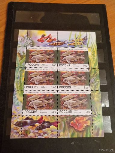 1998 Россия малый лист фауна аквариумные рыбы чистый MNH** (p-13)