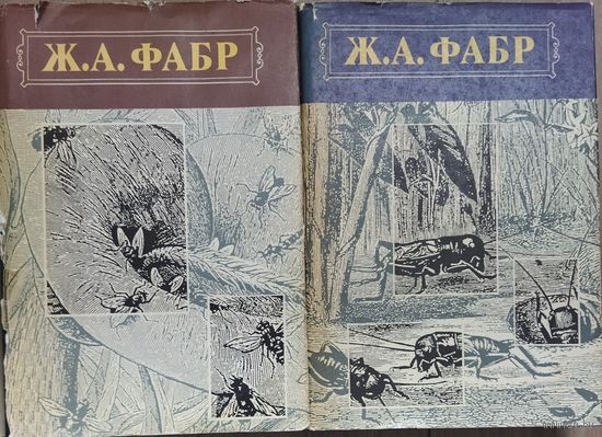 Ж.А. Фабр. Инстинкт и нравы насекомых. Комплект из 2 томов. Уникальный труд написан французским энтомологом еще в 19 веке.  РЕДКОЕ ИЗДАНИЕ!