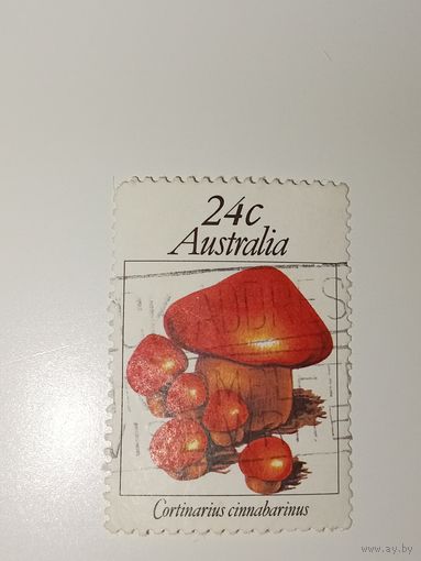 Австралия год 1981.  с изображением гриба Cortinarius cinnabarinus (паутинник киноварно-красный).