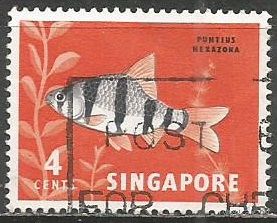 Сингапур. Рыбы. Барбус. 1963г. Mi#55.