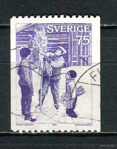 Швеция - 1977 - Рождество 75 О - [Mi.1006C] - 1 марка. Гашеная.  (LOT Gz45)-T3P42
