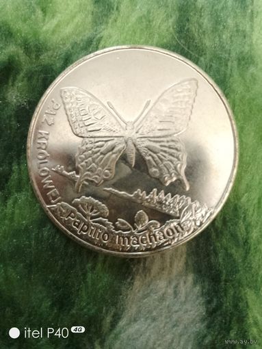 20 злотых, бабочка
