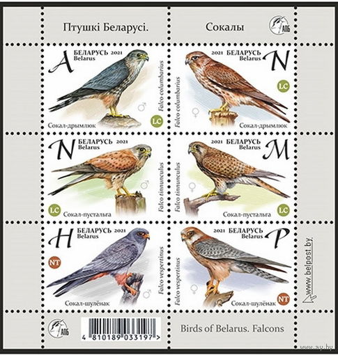 Беларусь 2021 Малый лист "Птицы Беларуси. Соколы" MNH