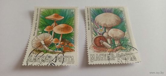 Венгрия 1984