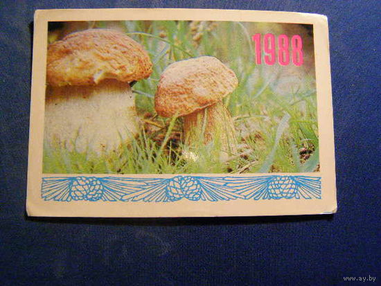 Календарик 1988 Природа грибы