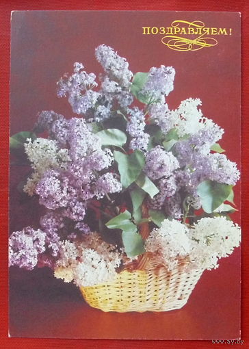 Поздравляем! Чистая. 1992 года. Костенко. 1359.