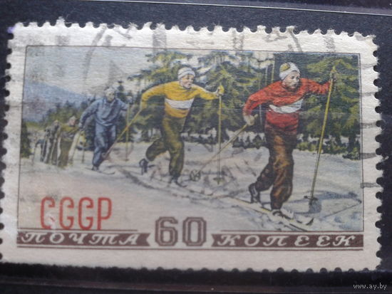 1952, Лыжный спорт