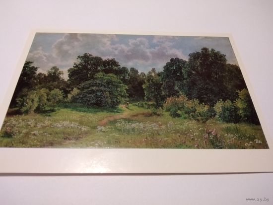 Открытка И. И. Шишкин. Опушка лиственного леса.