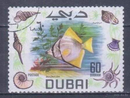 [634] Дубай 1969. Фауна.Рыбы. Гашеная марка.